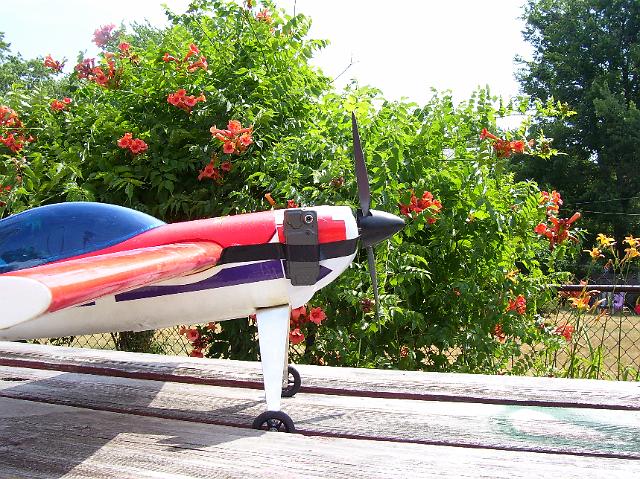 dvc300 030.jpg